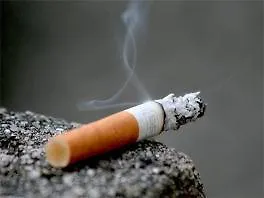 하트 오브 시티 롤라 자다르